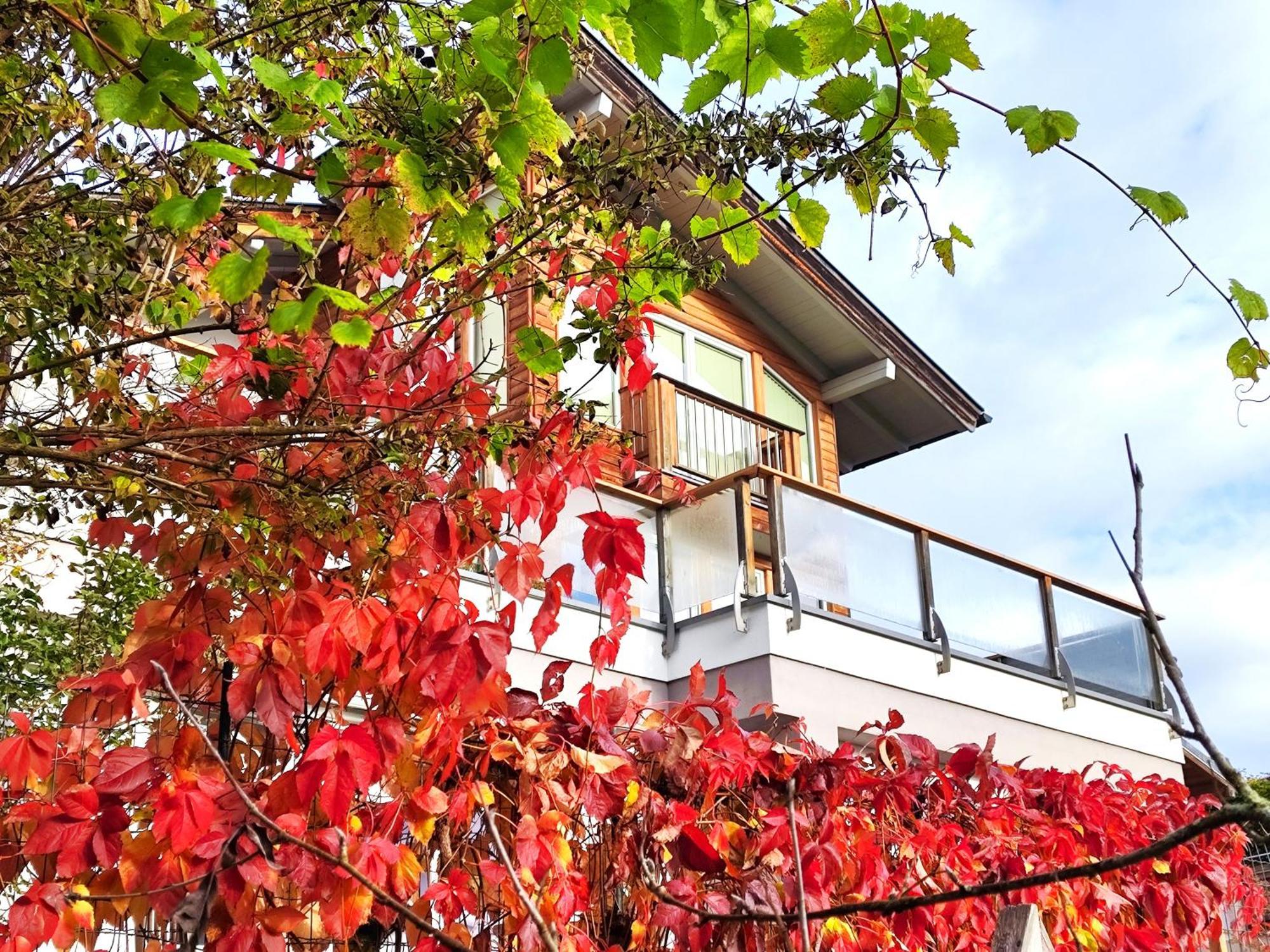 Ferienwohnung Hoellwart - Exclusiv, Ruhige Lage, Panoramablick 비쇼프스호펜 외부 사진